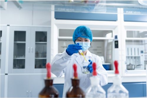 全產業鏈鑄就卓越品質，一站式服務賦能共贏未來——康西爺食品的技術服務之道