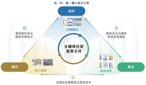 海大國際遞表港交所 分拆自海大集團，2024年凈利潤強勢翻倍
